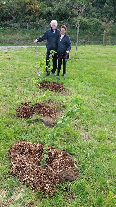 Lori and Mac planting hazel trees